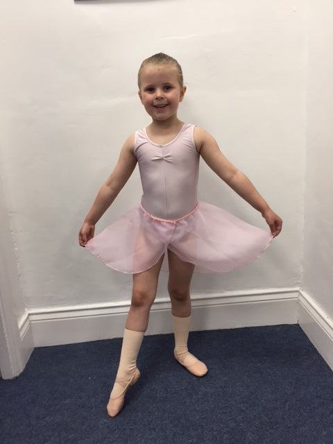 Pink Ballet Skirt